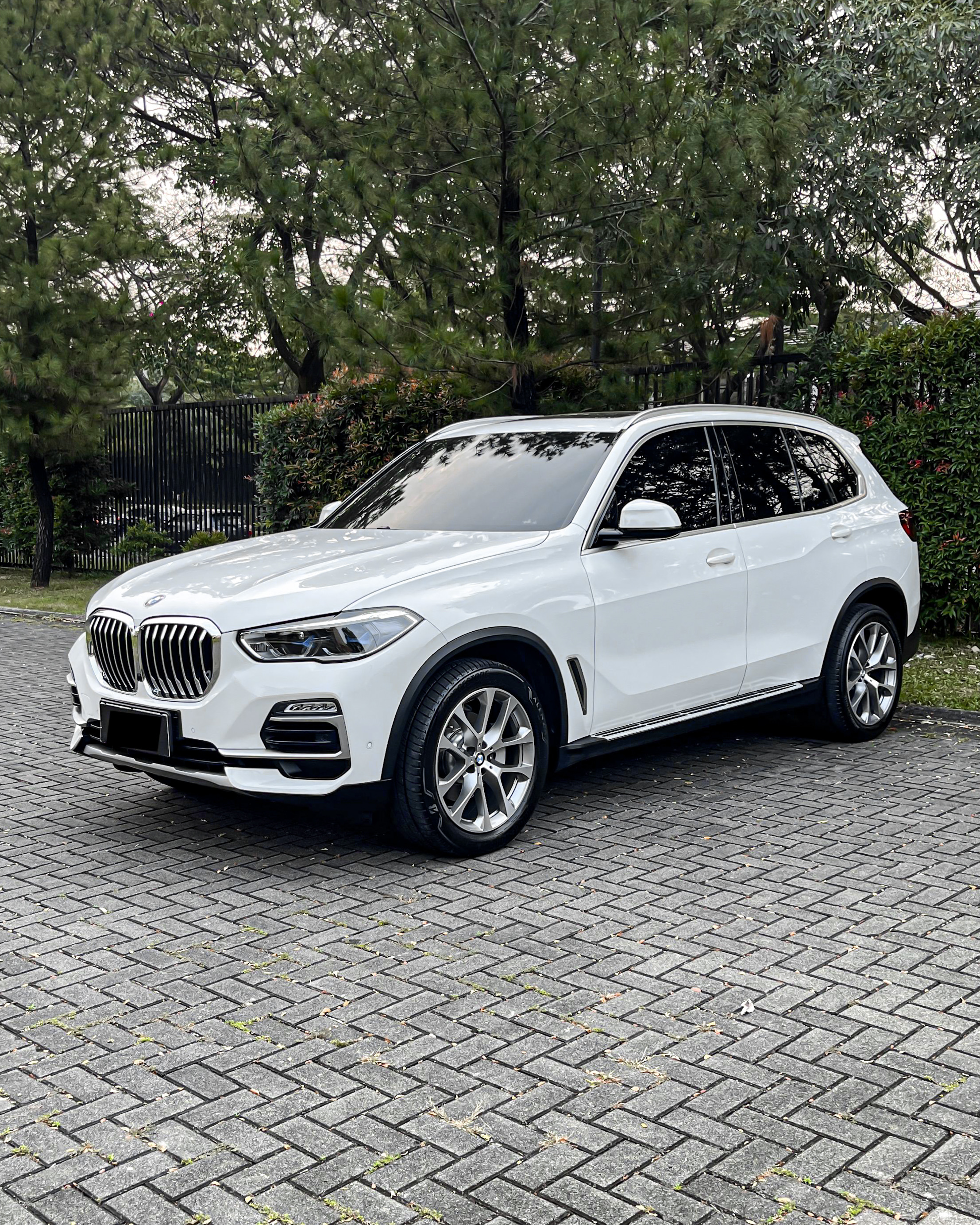 BMW X5 xDrive40i xLine 2020