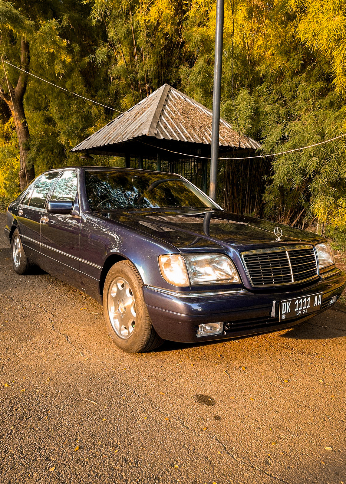 Mercedes Benz S320 3.2 M104 Lwb W140 1996