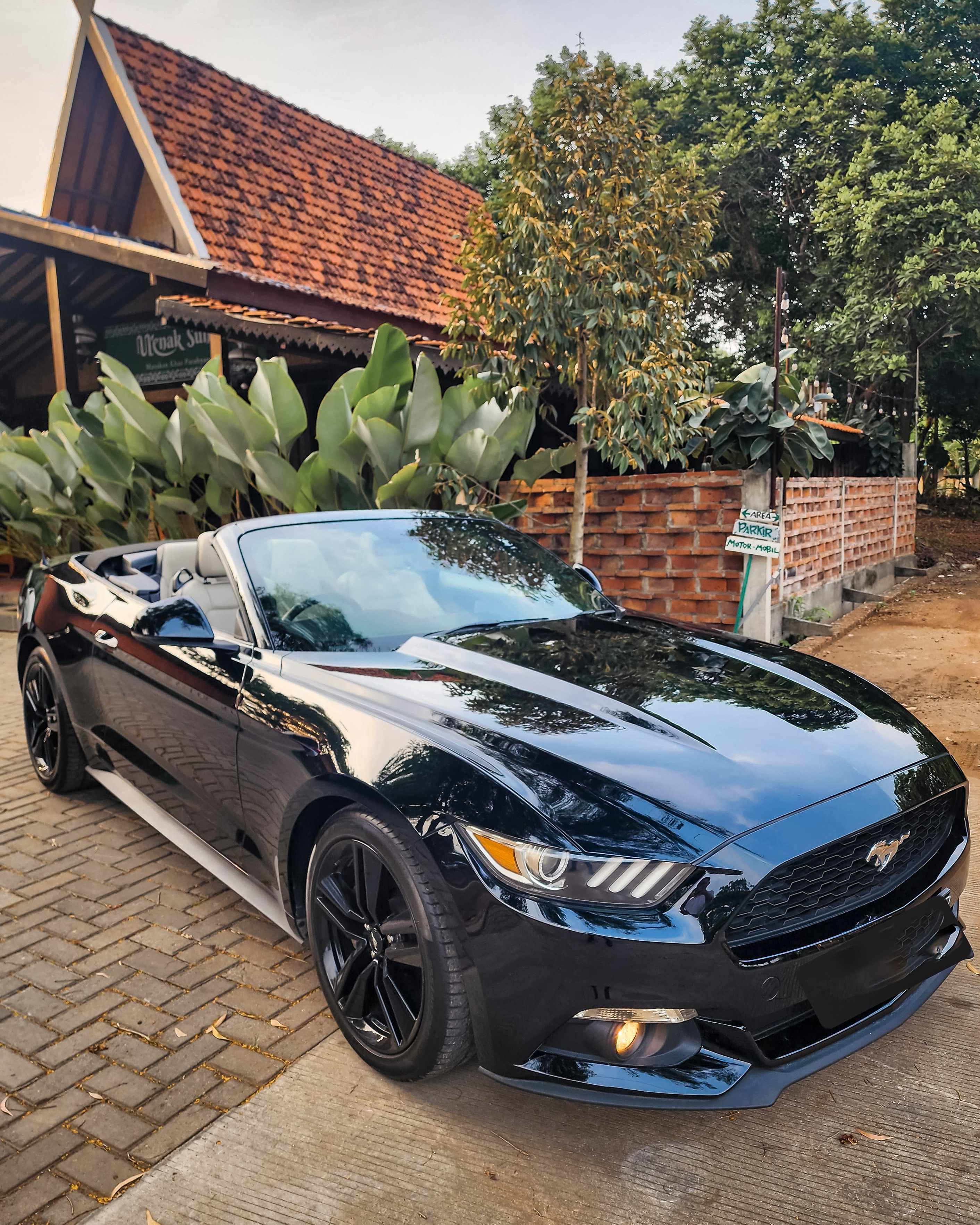 Ford Mustang 2.3 Cabrio 2016