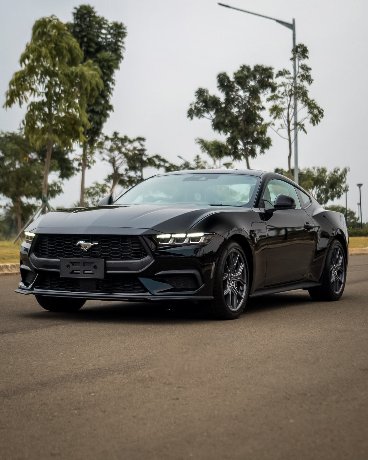Ford Mustang Ecoboost 2.3 Ecoboost Fastback 2024
