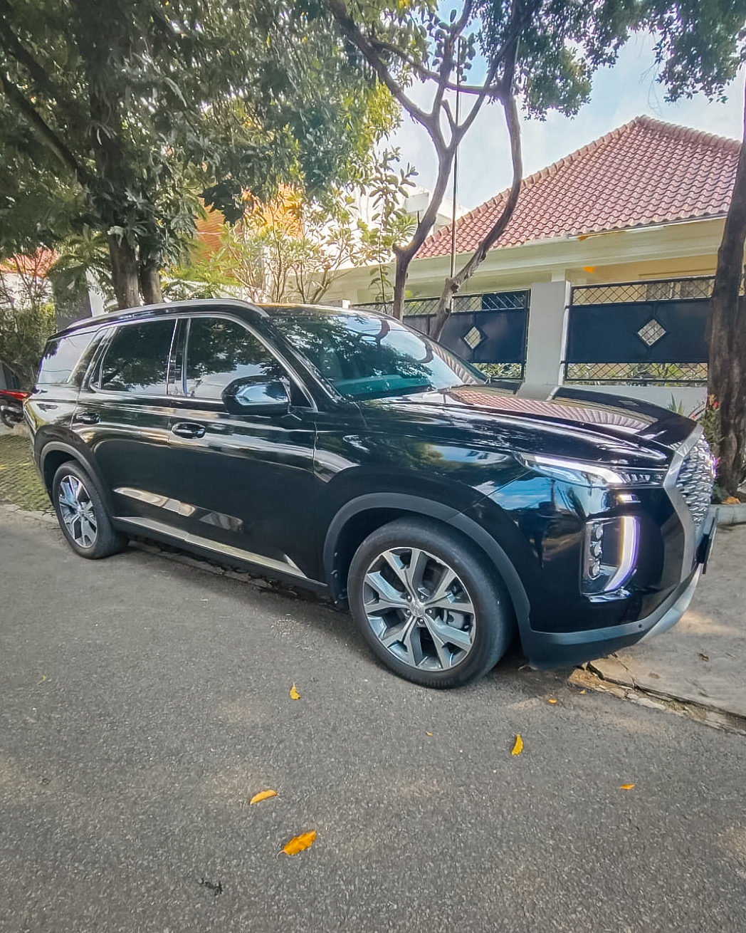 Hyundai Palisade 2.2 Signature Diesel 2021