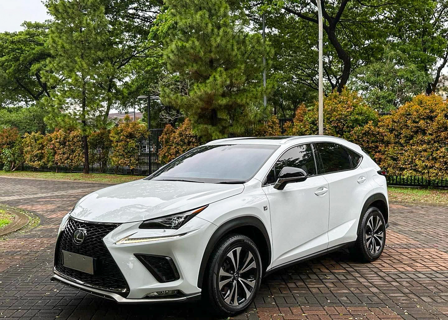 Lexus NX300 Fsport ATPM CBU 2018