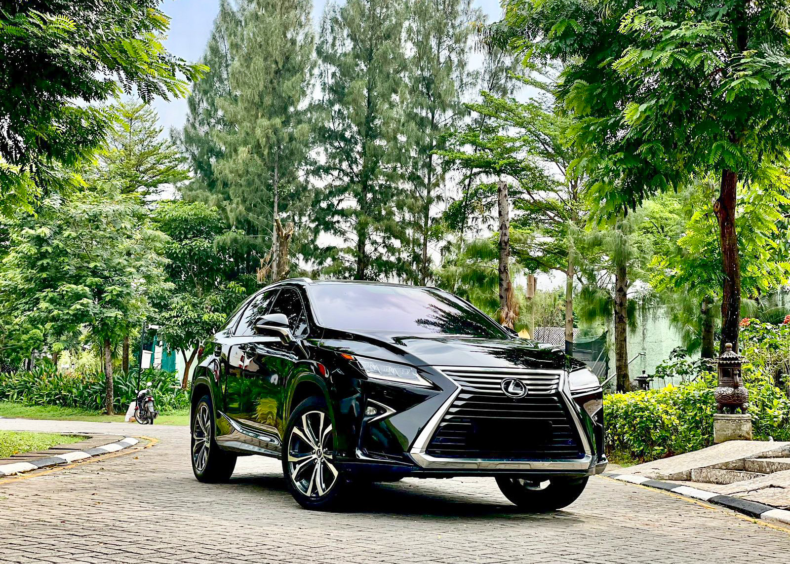 Lexus Rx300 Luxury 2018