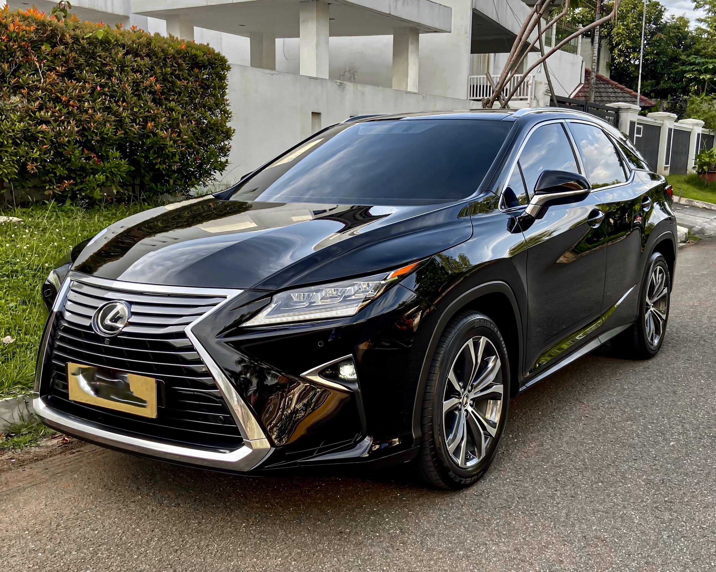 Lexus RX300 Luxury 2018
