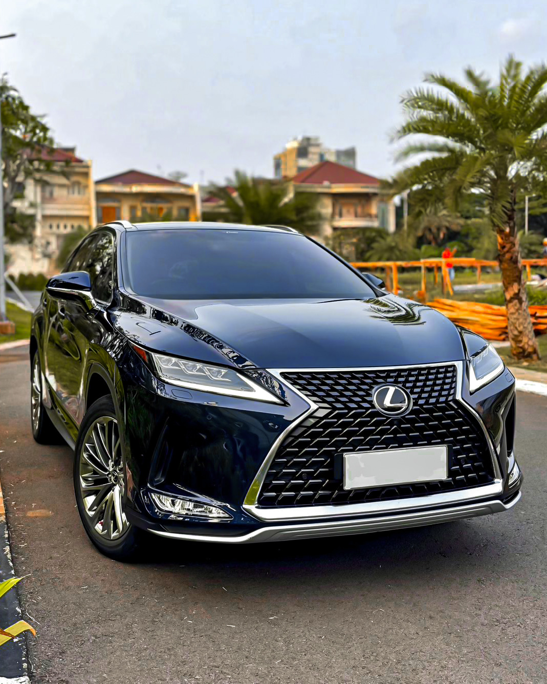Lexus RX300 Luxury+ Enhancement Pack 2021