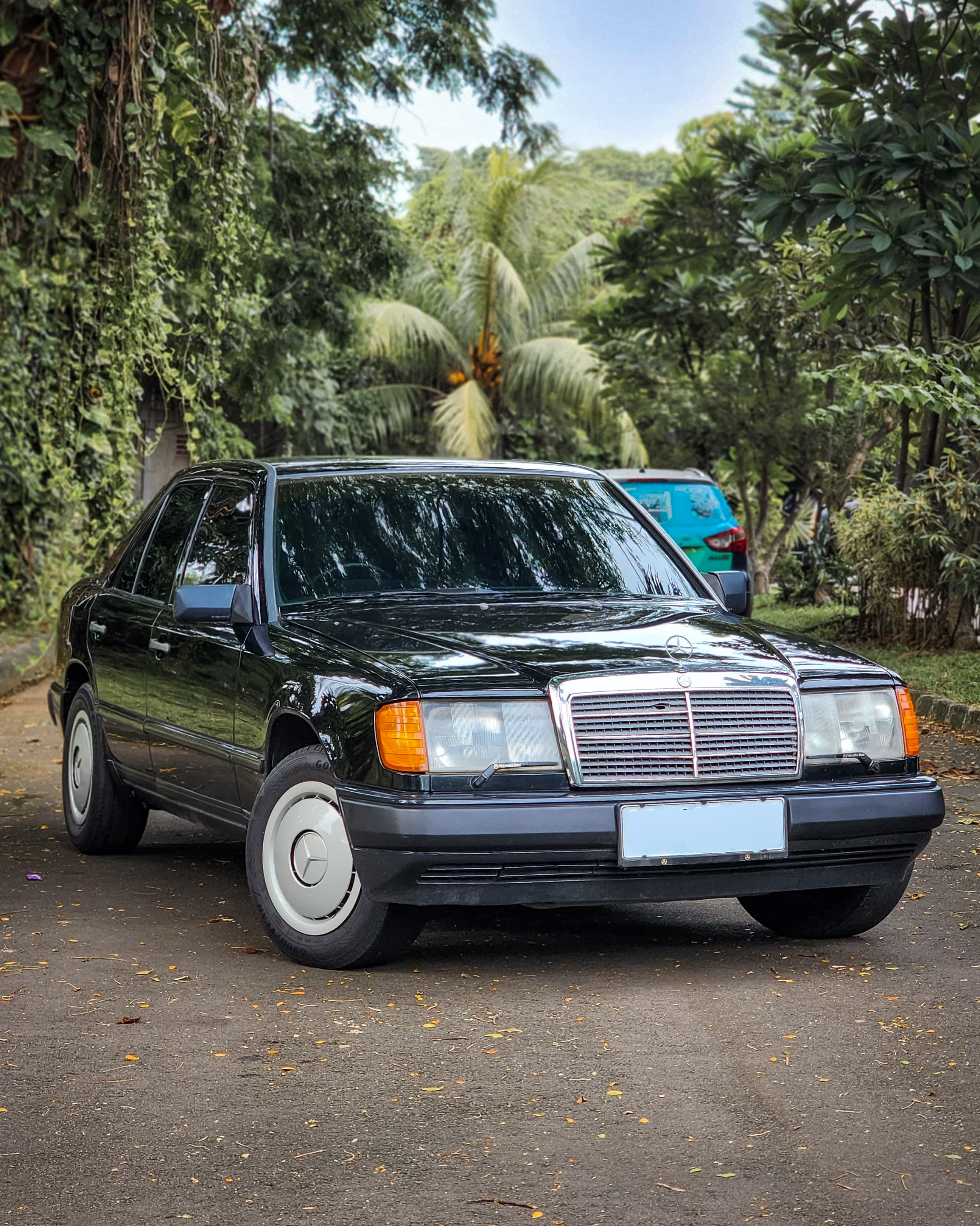 Mercedes Benz Boxer 300e MT 1989