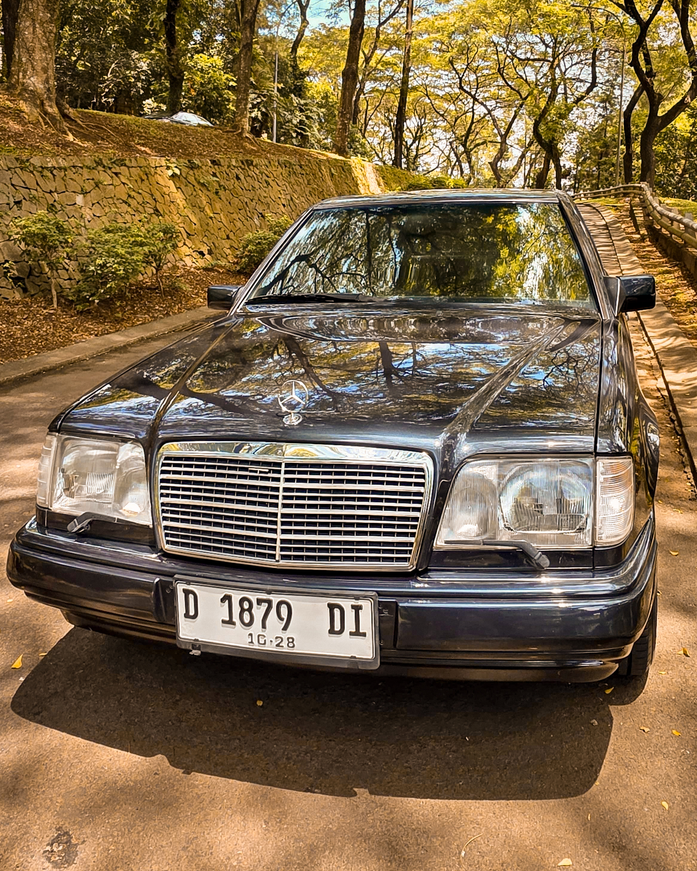 Mercedes Benz E320 Masterpiece M/T 1996