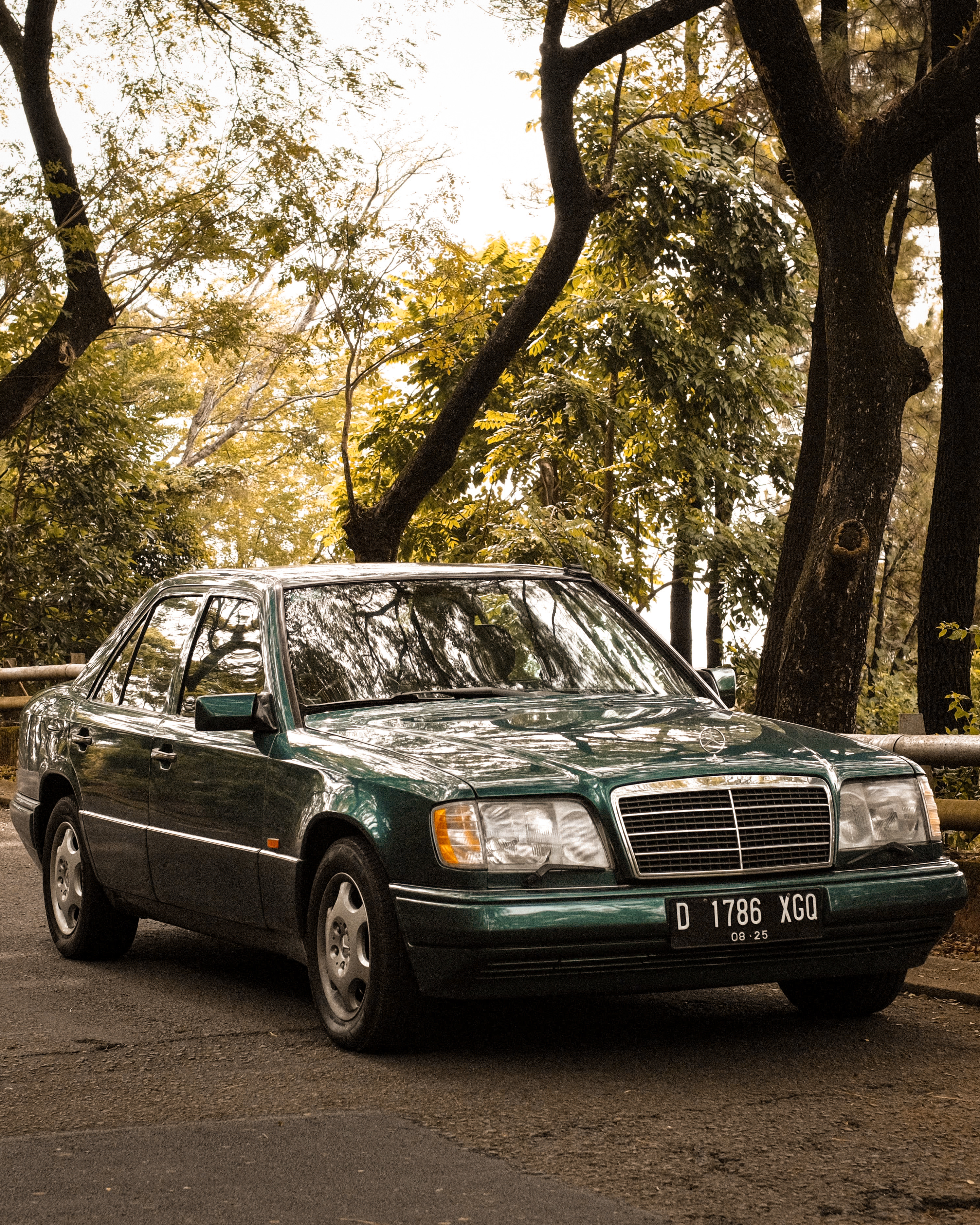 Mercedes Benz E320 Masterpiece M104 M/T 1996
