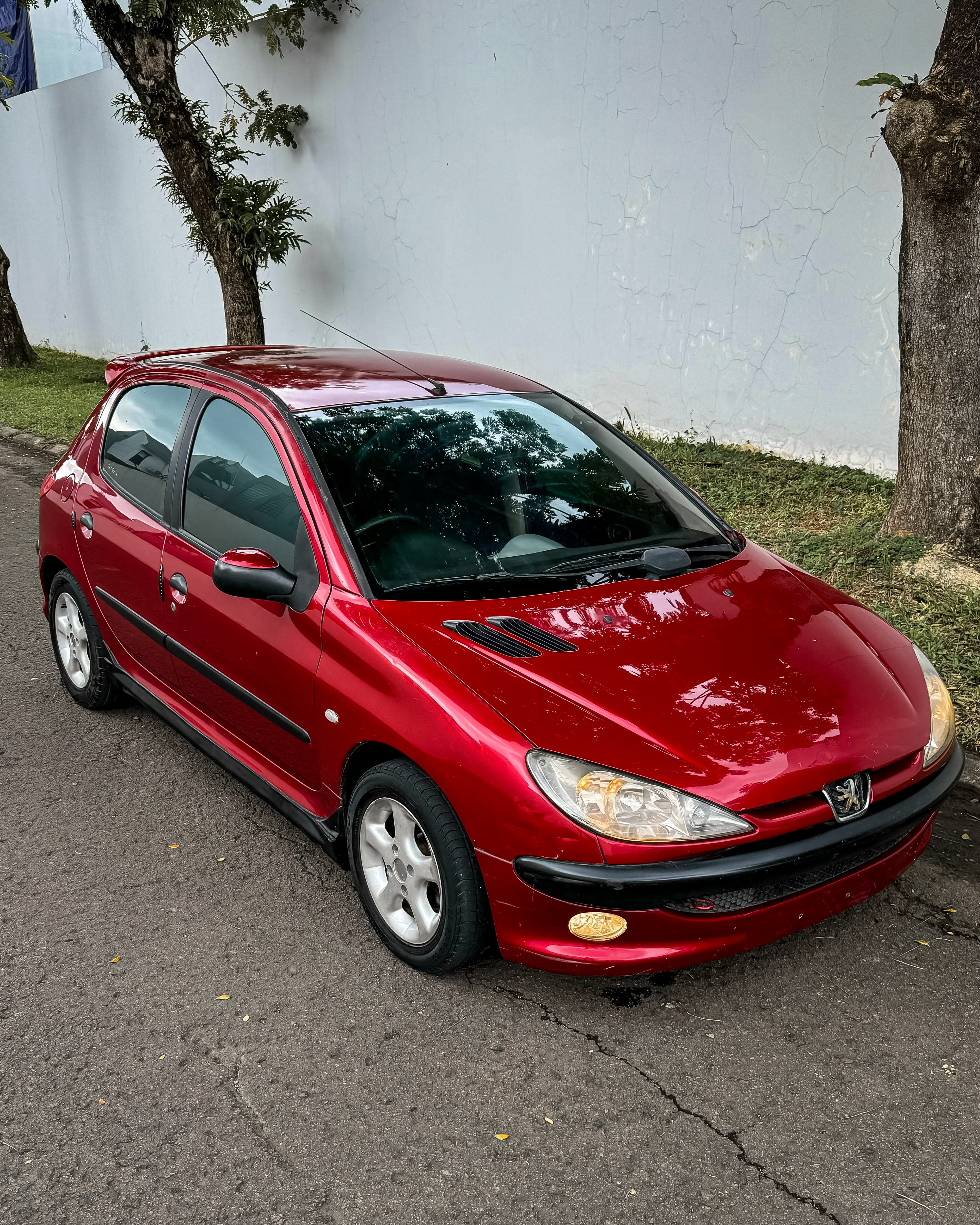 Peugeot 206 XS 1.4 Mt Last Edition 2006