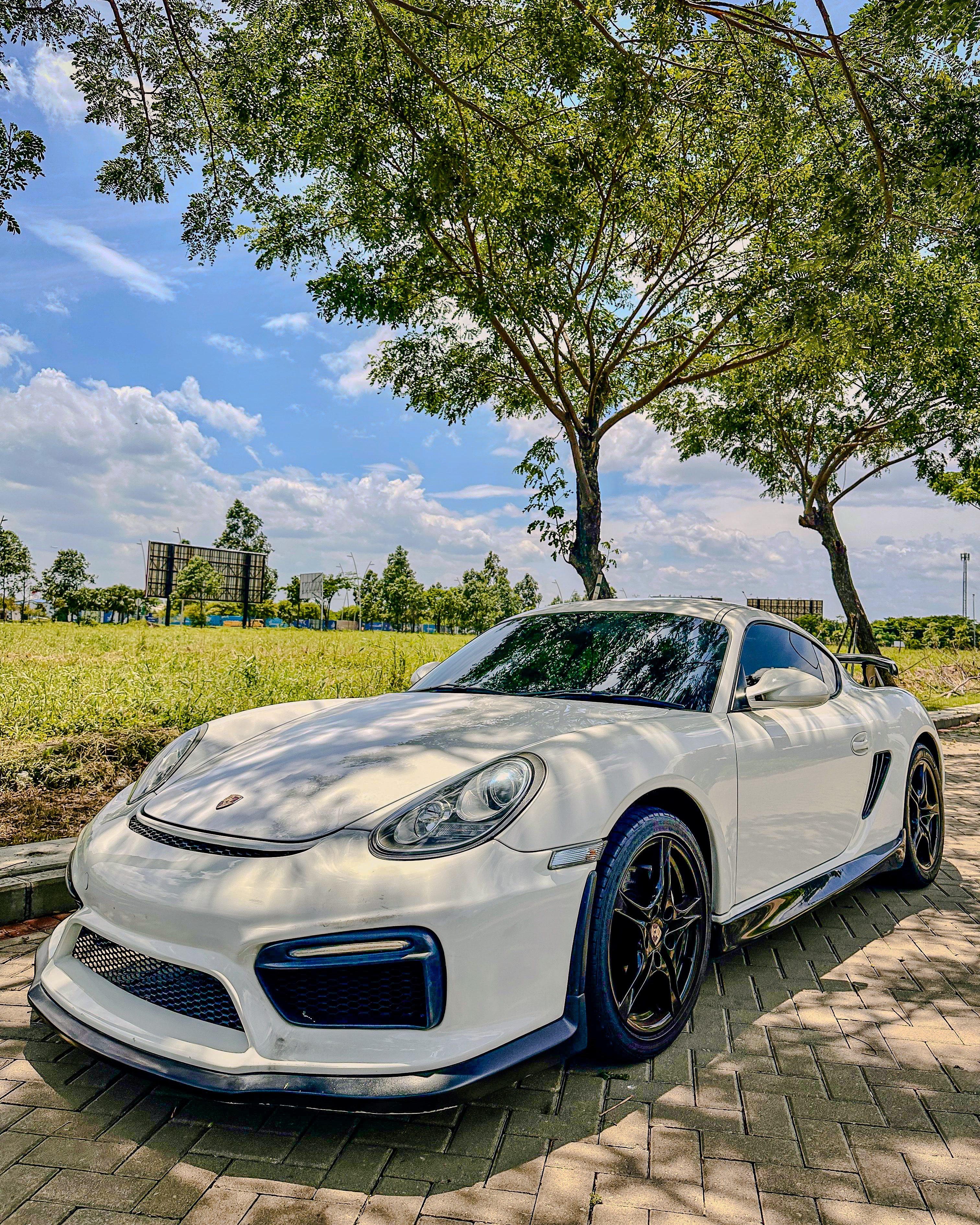 Porsche Cayman 987.2 Pdk 2011