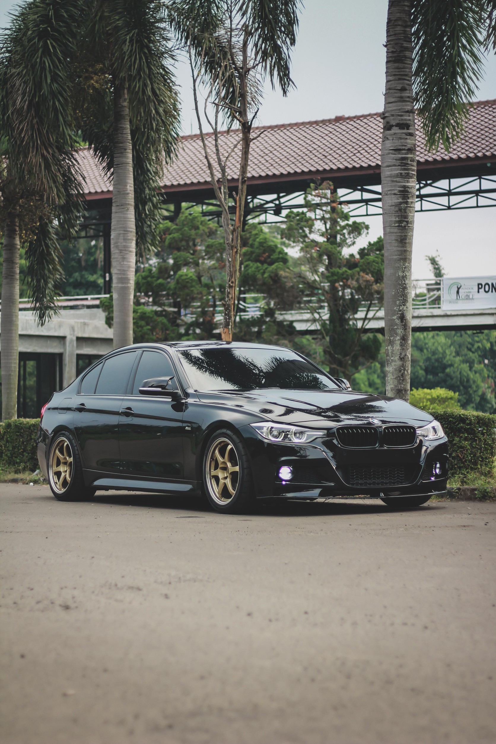 BMW 320i F30 B48 2016
