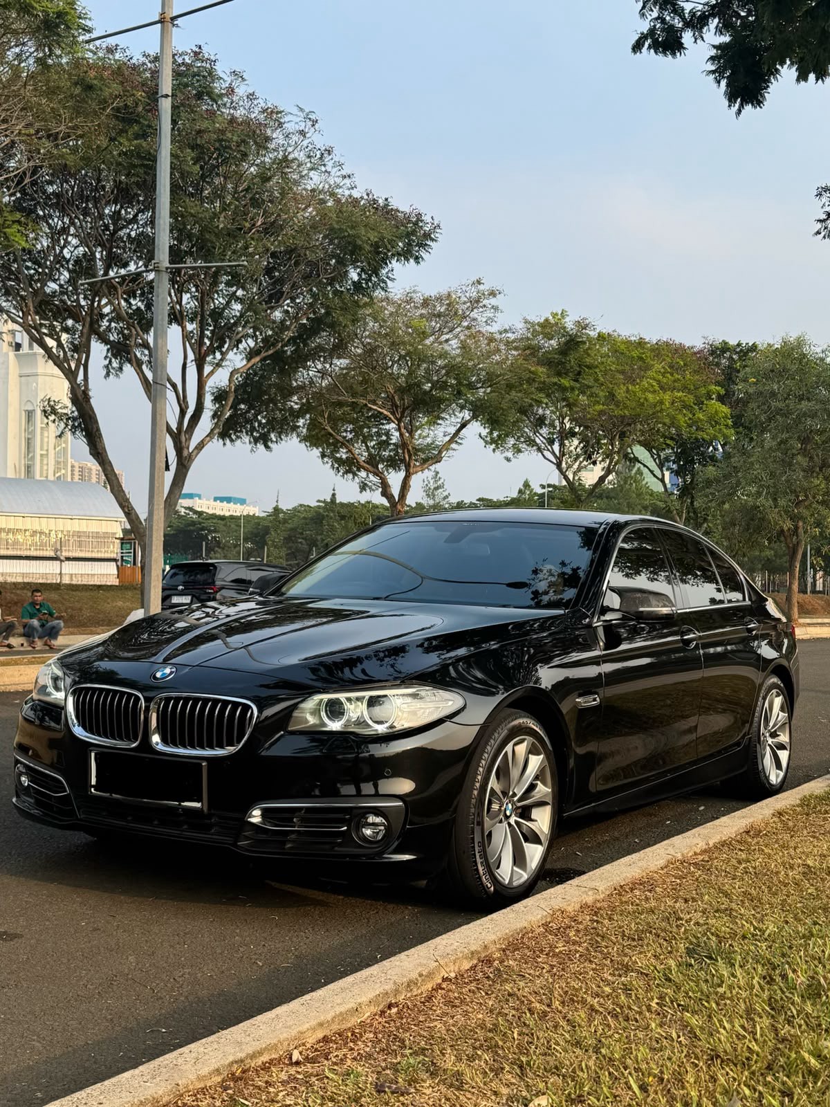 BMW 520i CBU 2015