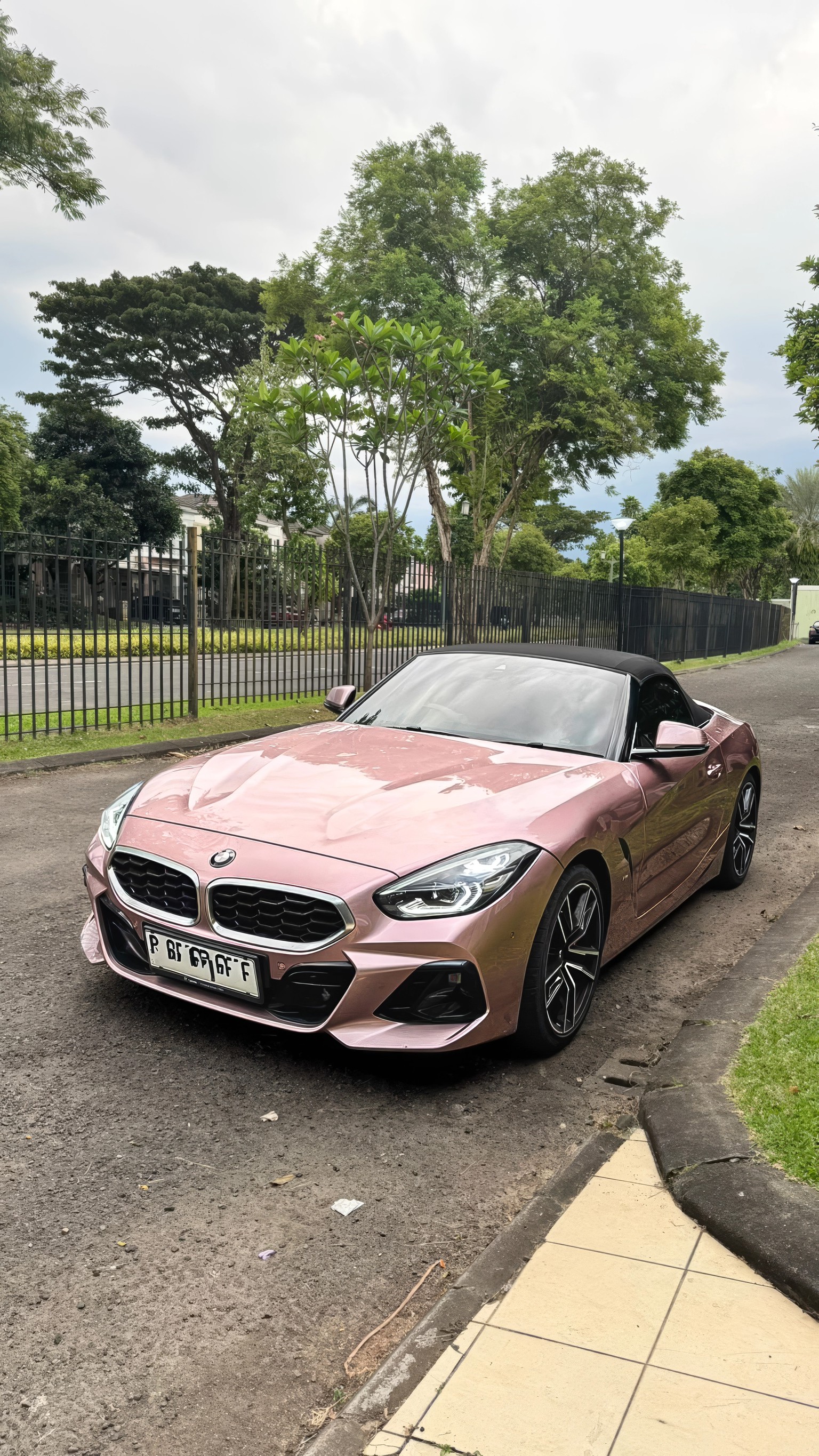 BMW Z4 Sdrive 30i 2024
