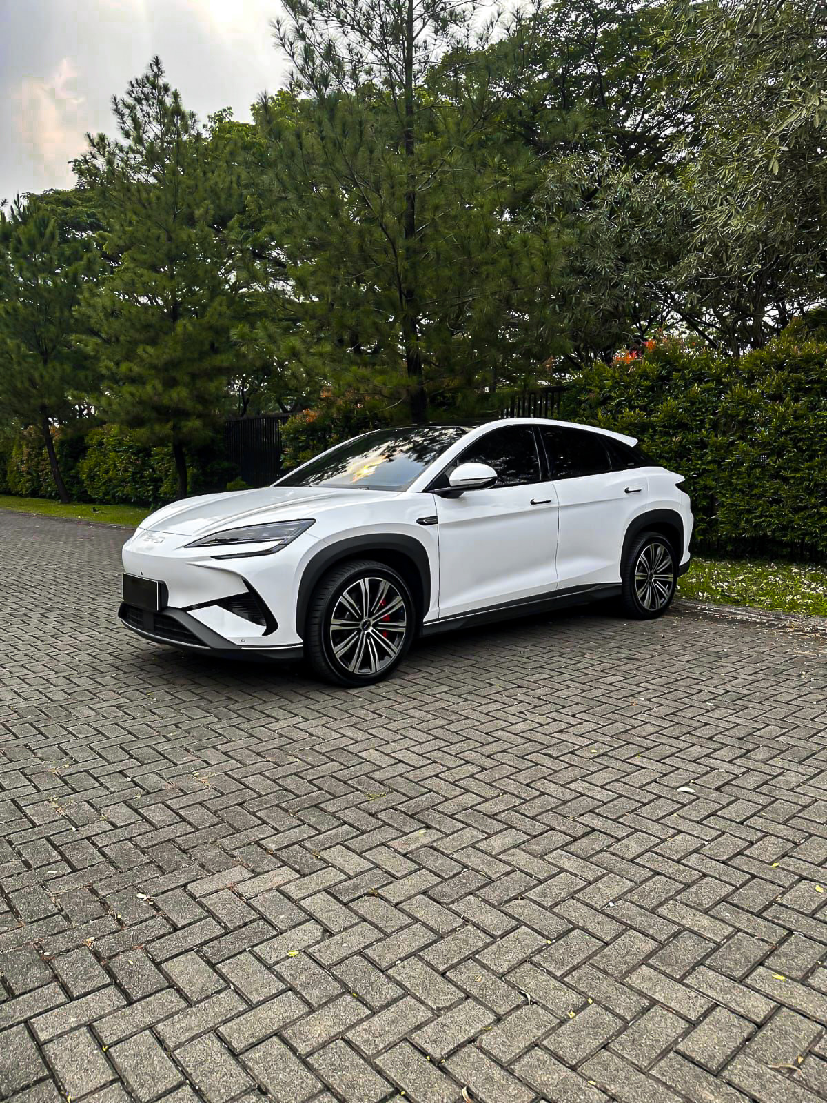 BYD Sealion 7 Performance 2025