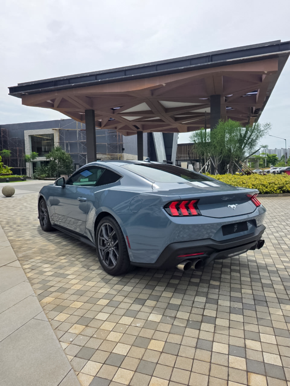 Thumb 6
