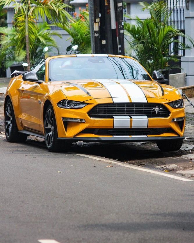 Ford Mustang 2.3 Cabrio Last Edition s550 High Performance 2023