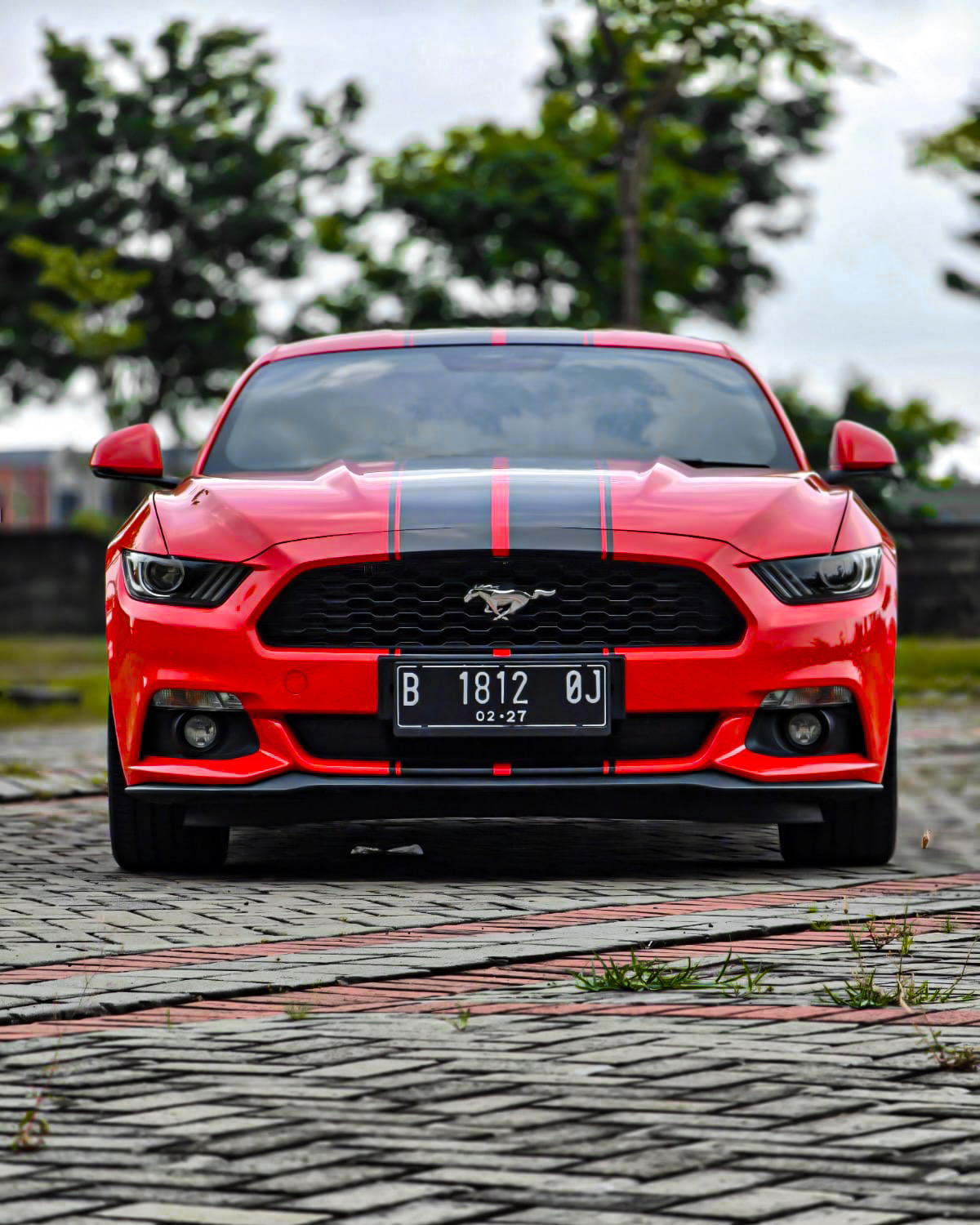 Thumb 2