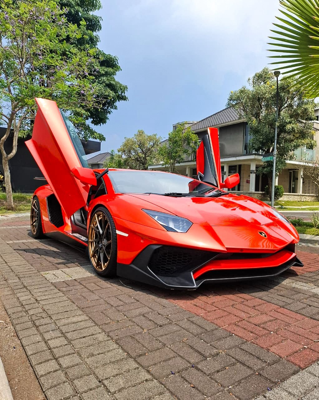 Lamborghini Aventador LP700-4 2012