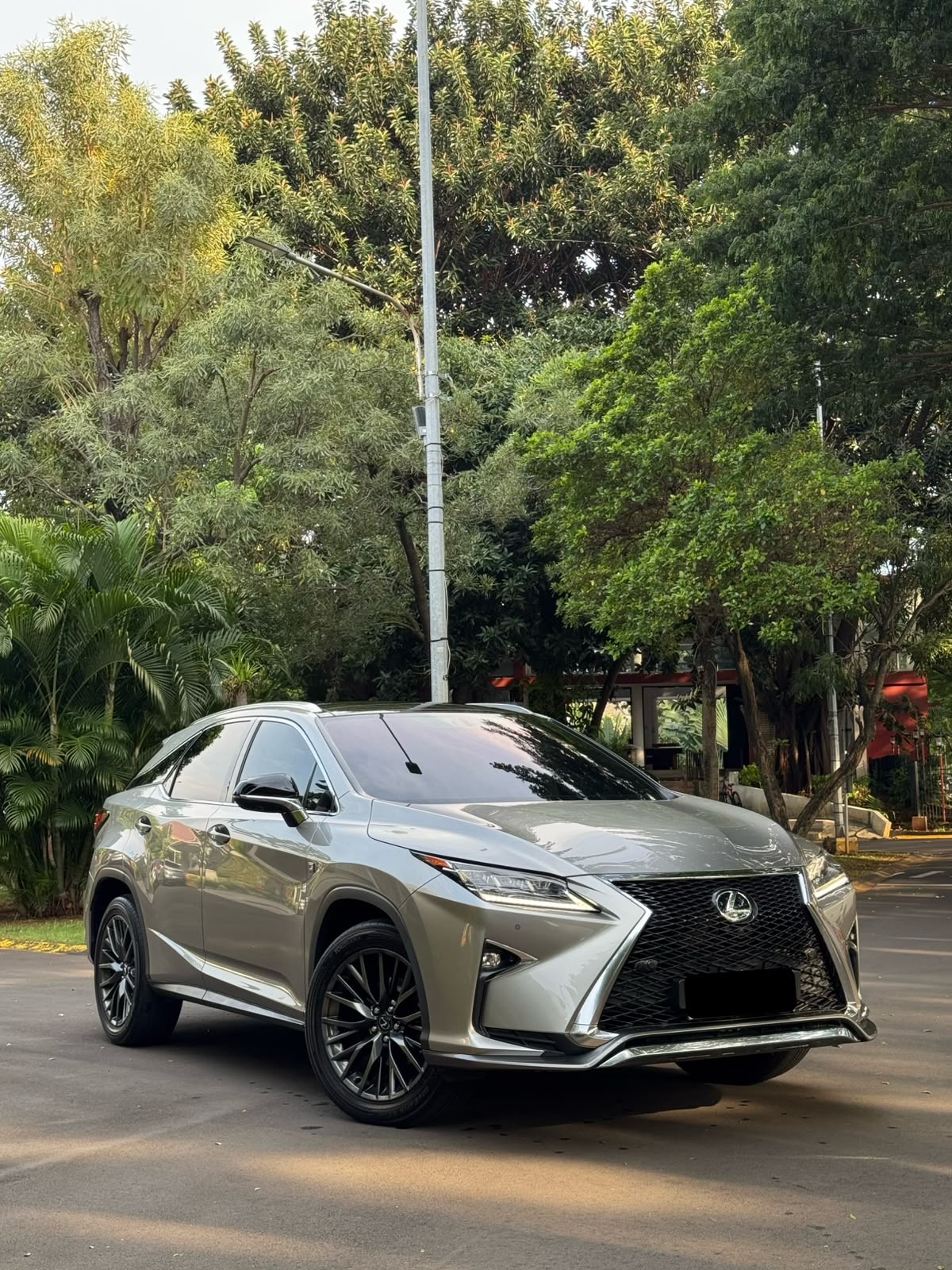 Lexus RX 200T F Sport 2017 