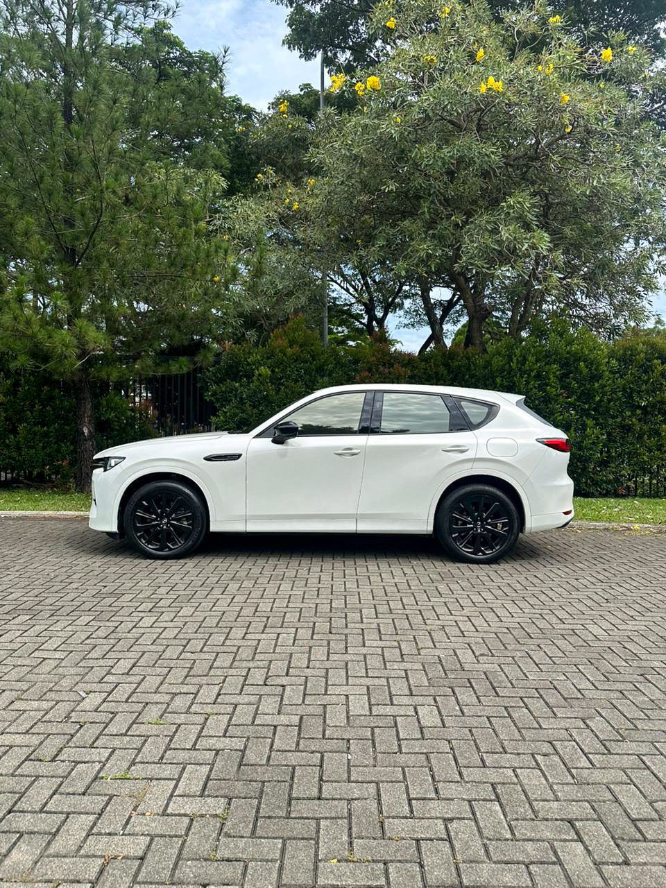Thumb 9