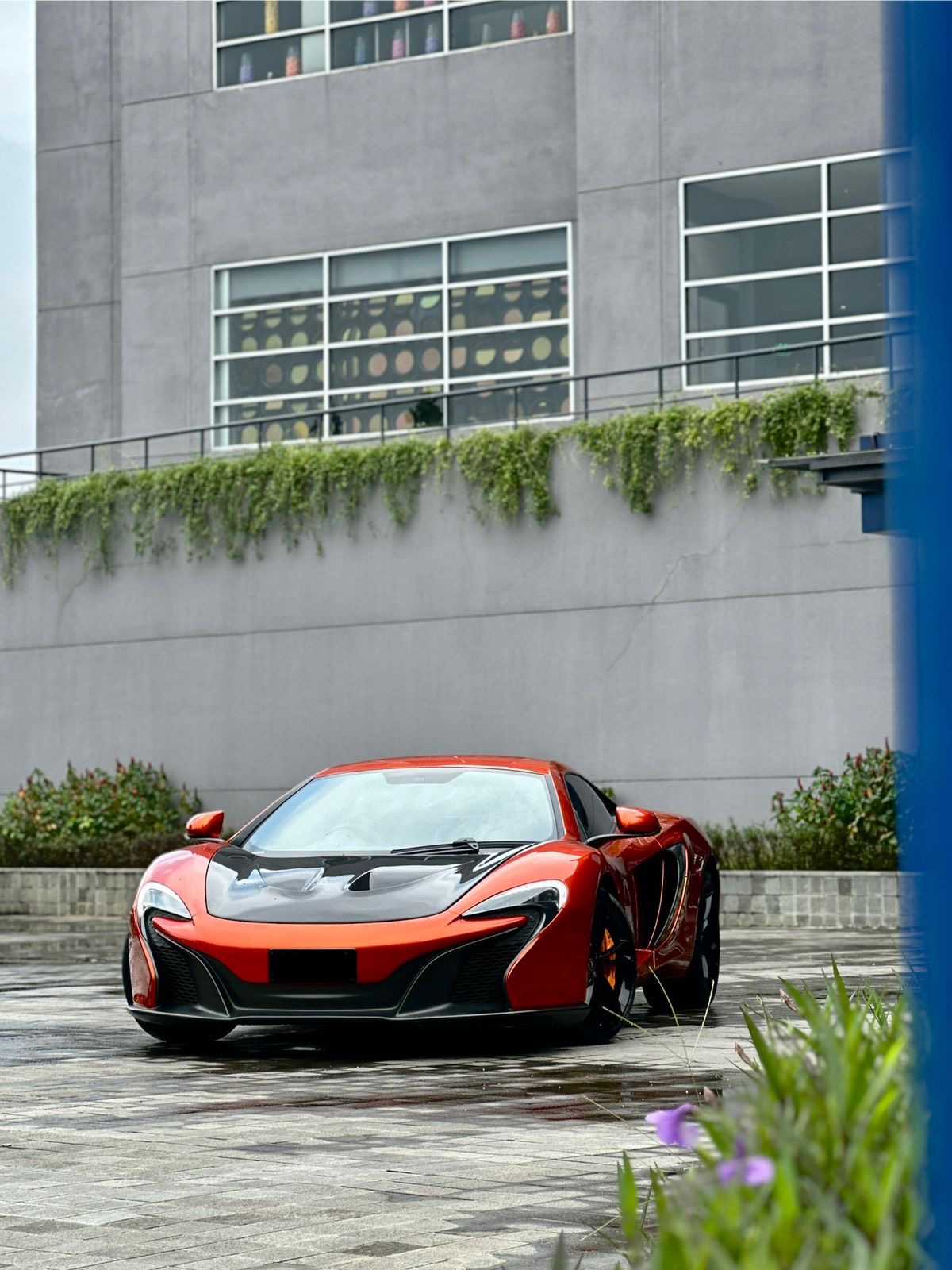 McLaren MP4-12C Coupe MSO 2012